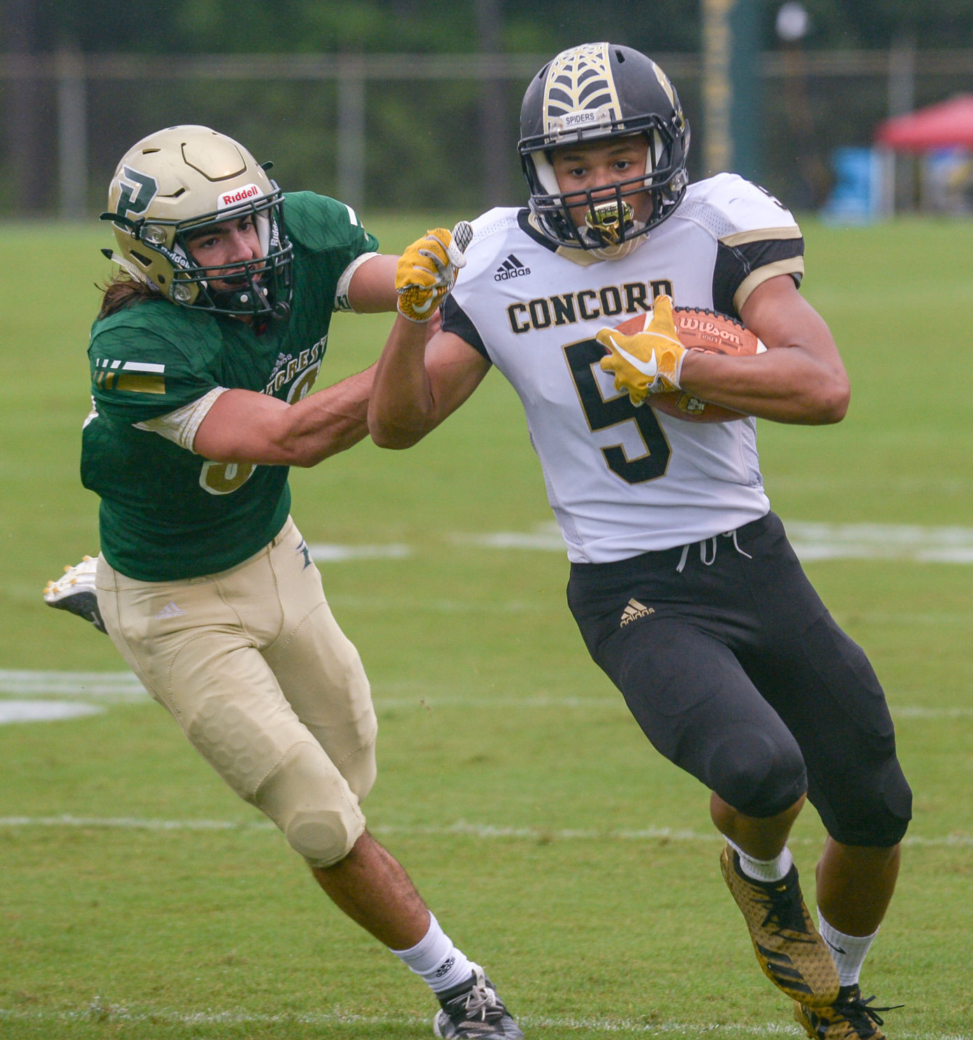 Concord-Pinecrest 2.jpg